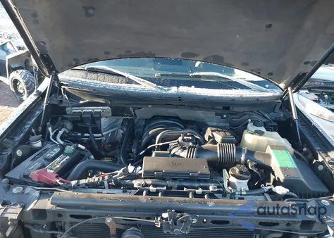 2010 Ford F-150 Stx/Xl/Xlt z USA, uszkodzony, nr VIN 1FTEX1E86AFD83821